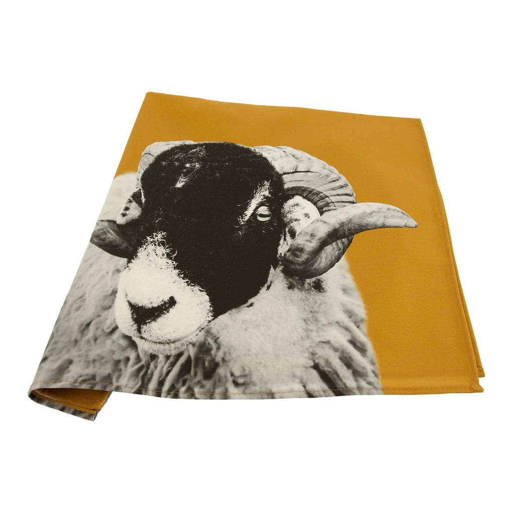 swaledale sheep tea towel - ochre