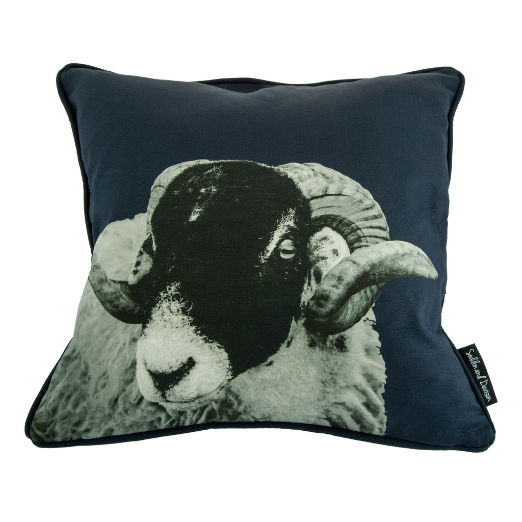 Swaledale Sheep Cushion - Blackberry