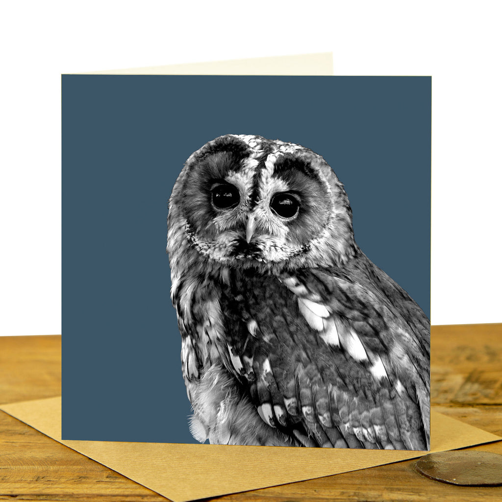 Tawny Owl Greeting Card - Indigo