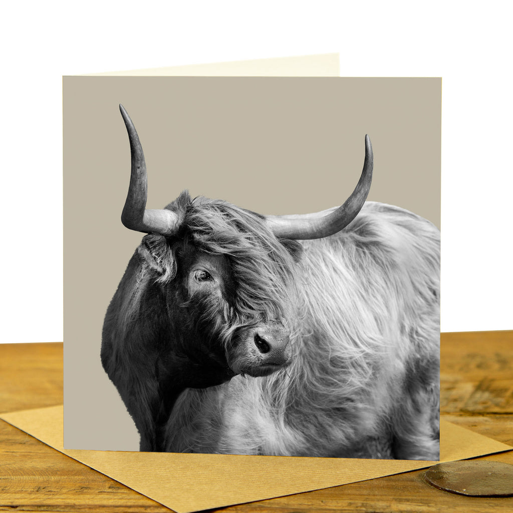 Windswept Highland Cow Card - Sand Grey