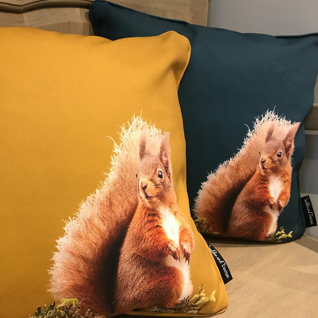 red squirrel cushion - teal green and ochre yellow