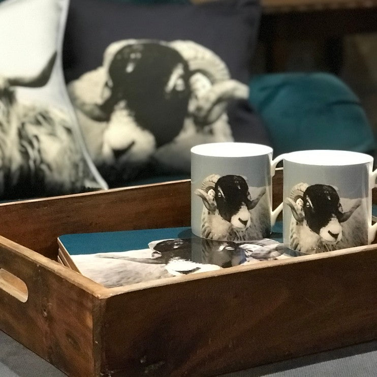 Sheep Homewares and Lifestyle Collection
