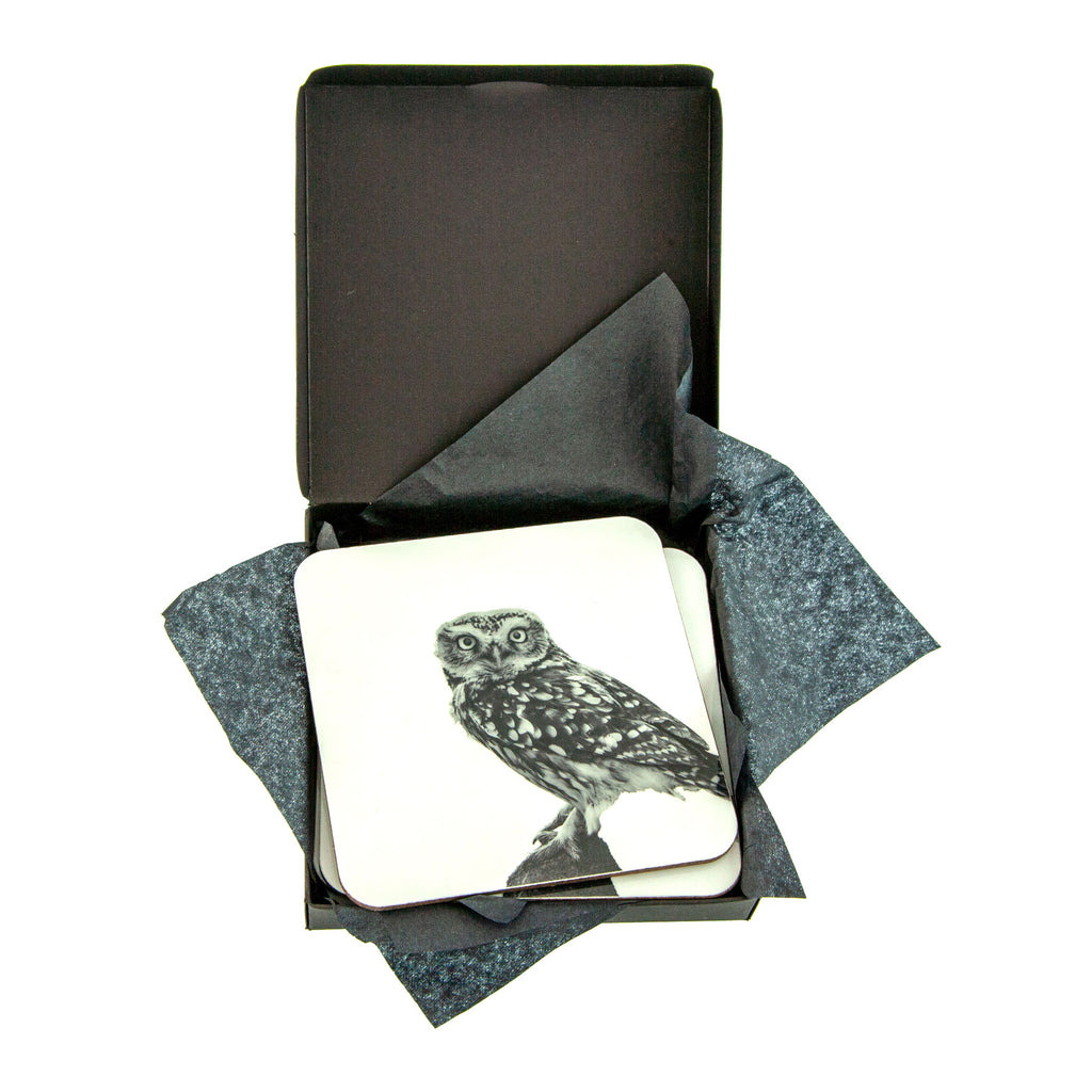 Coasters by Seddon and Davison - Little Owl Standing