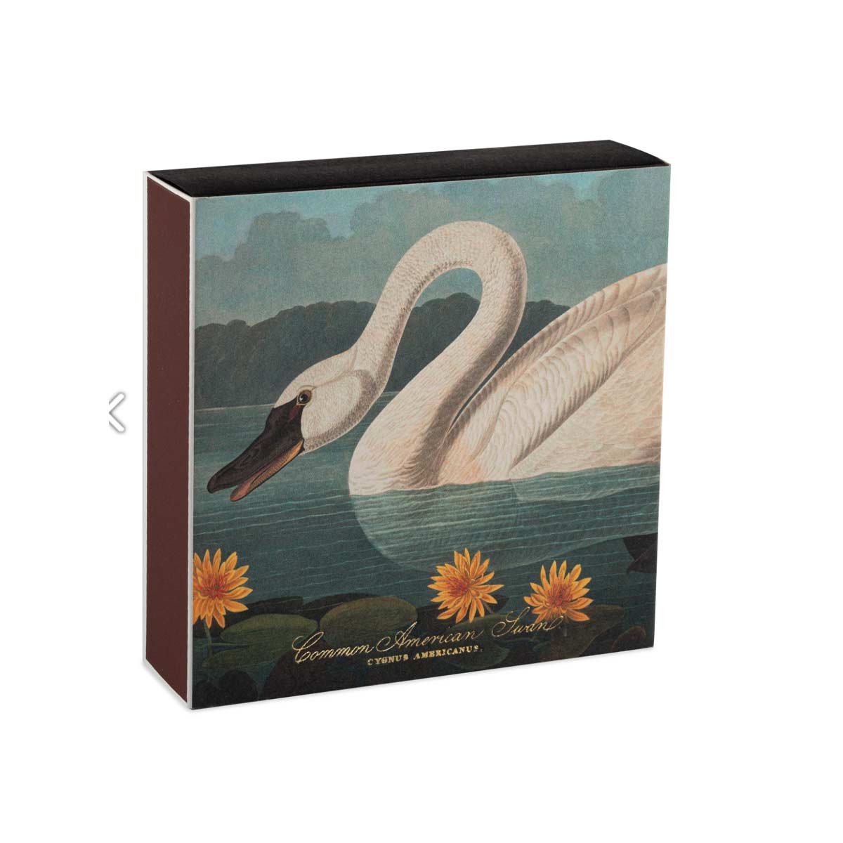 Square Archivist matchbox featuring The Common American Swan illustration by John J. Audubon, containing 125 long matches.