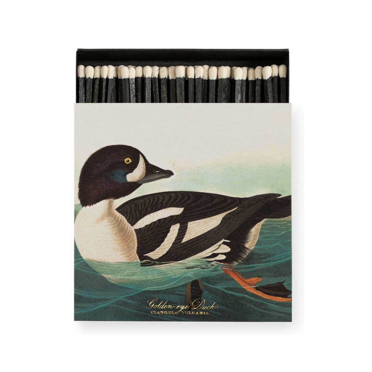 Square Archivist matchbox featuring The Goldeneye Duck illustration by John J. Audubon, containing 125 long matches - shown with box open.