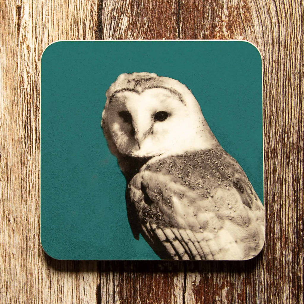 Barn Owl Coaster - Teal