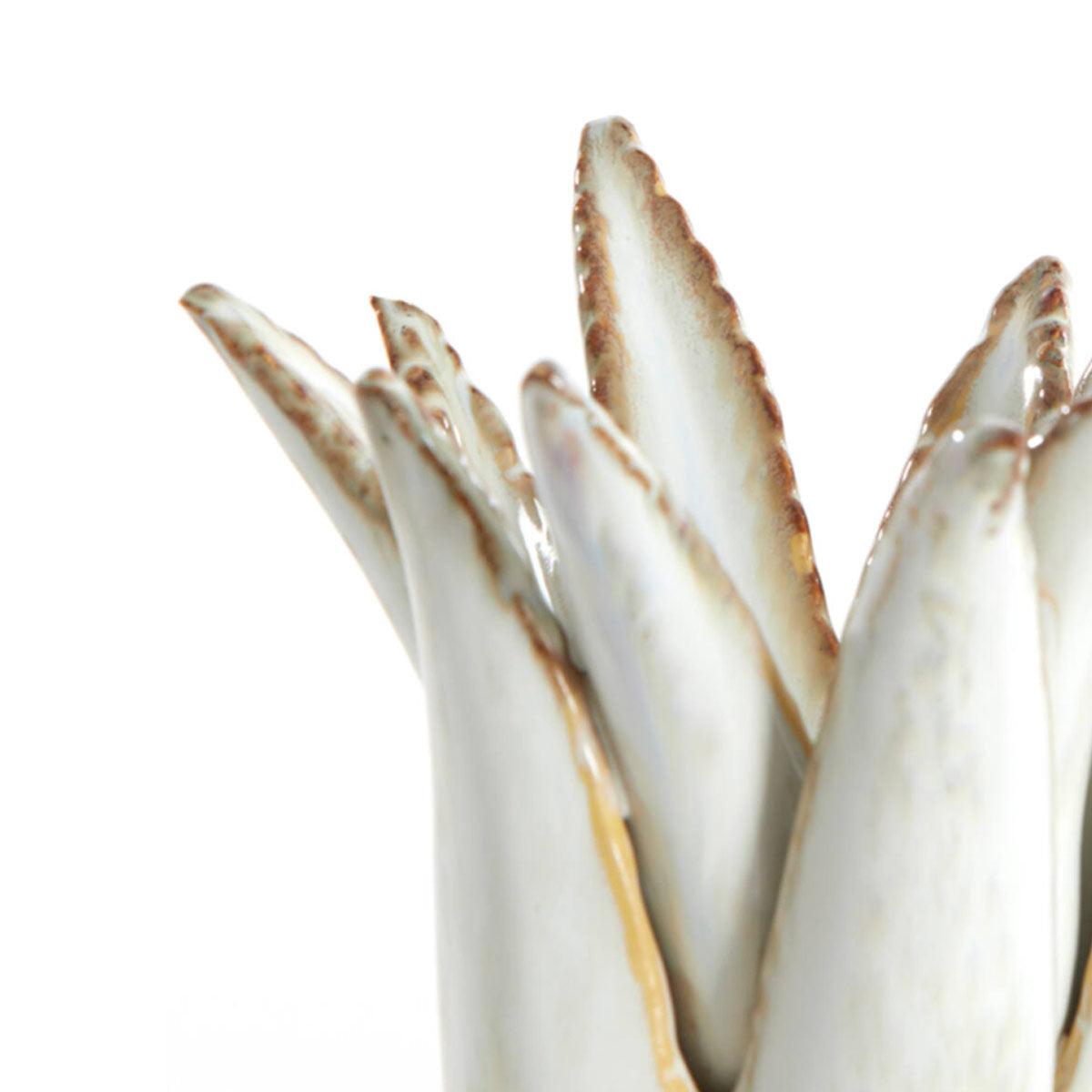 Cactus Ceramic Candlestick - Cream - Close up of leaves