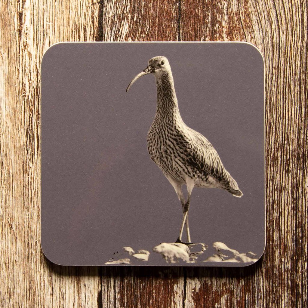 Curlew Coaster - Charcoal