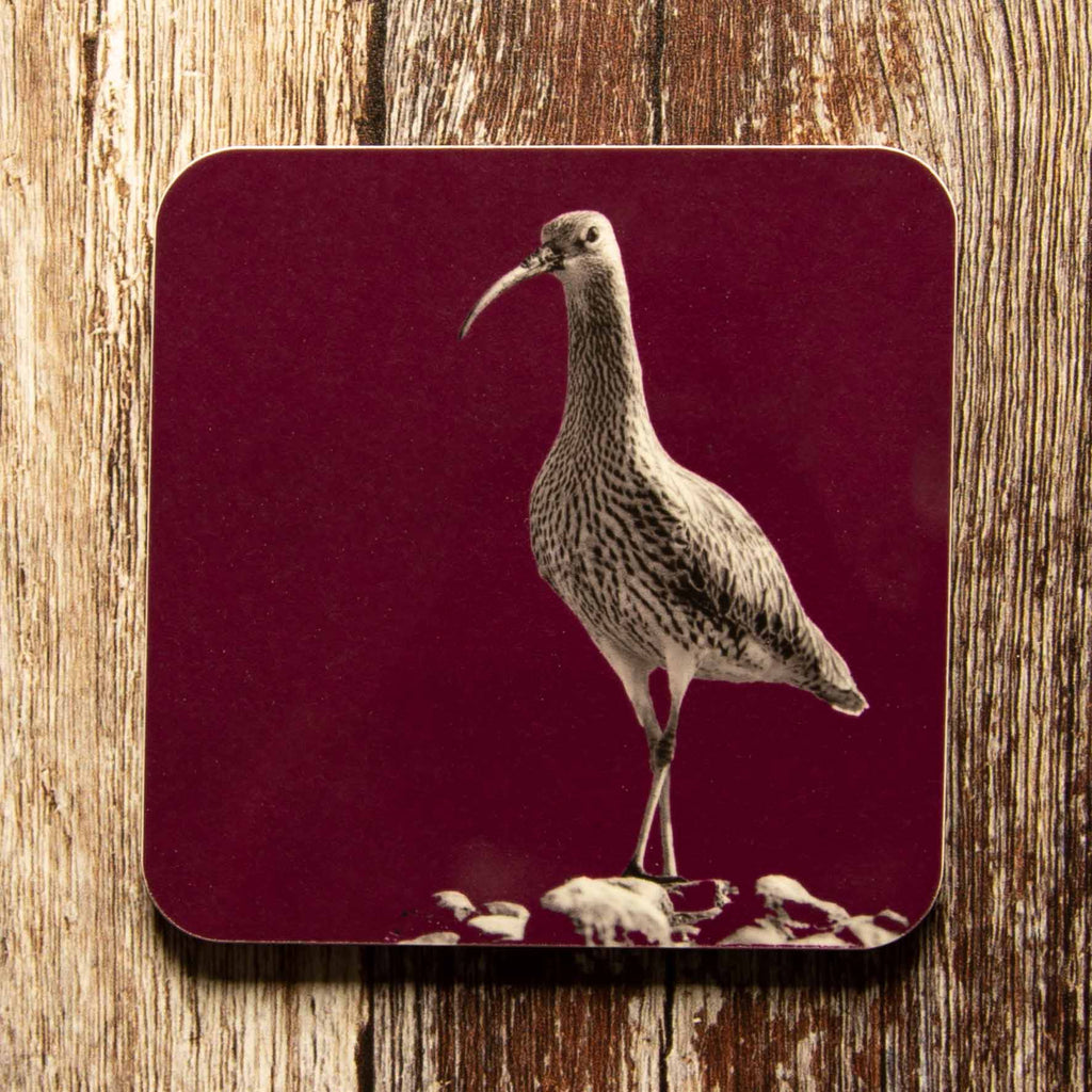 Curlew Coaster - Mulberry