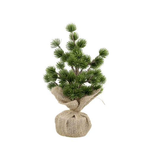 Fleur Cedar Tree - 30cm