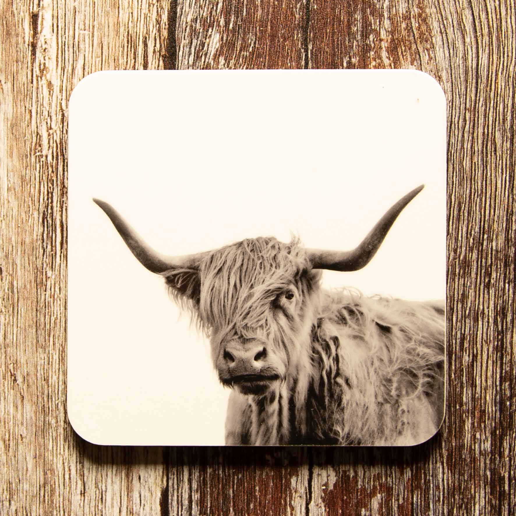 Highland Cow Coaster  - White