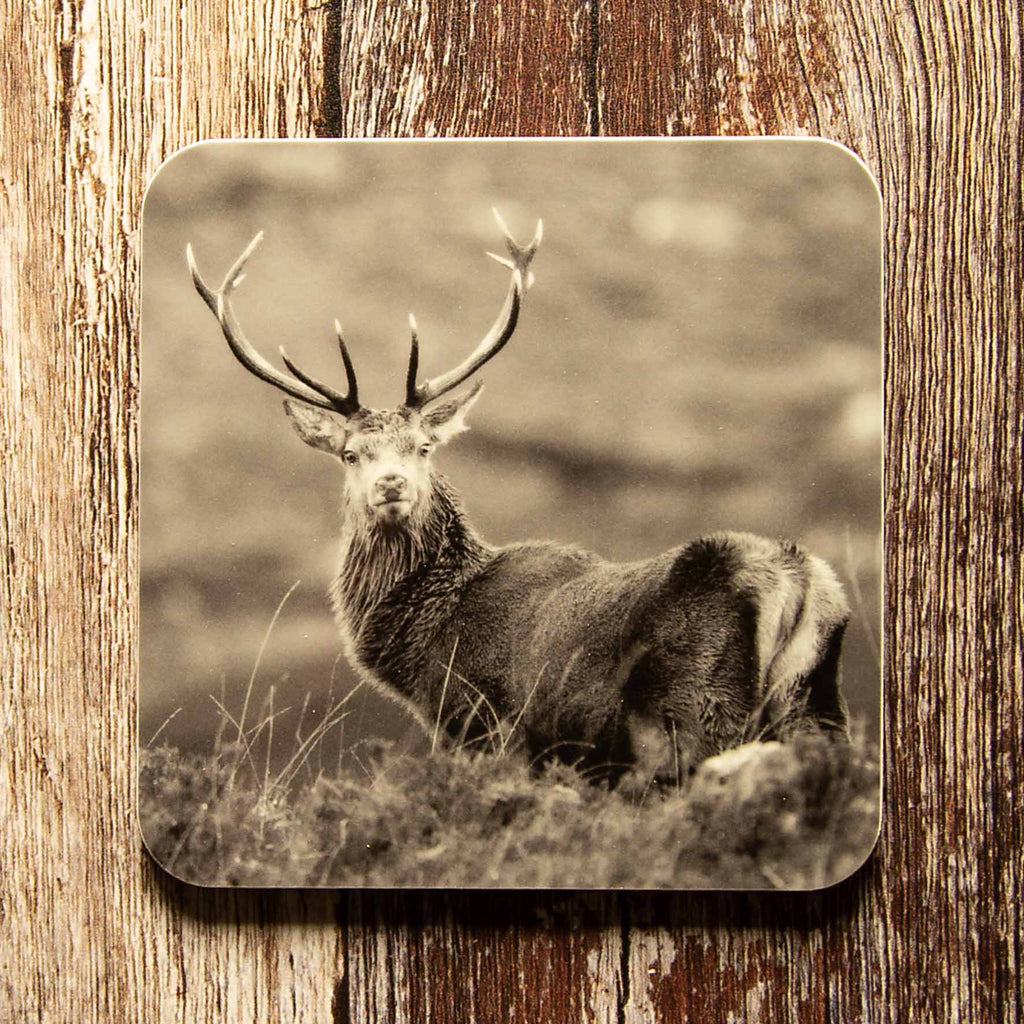 Highland Stag in Heather Coaster - Black and White