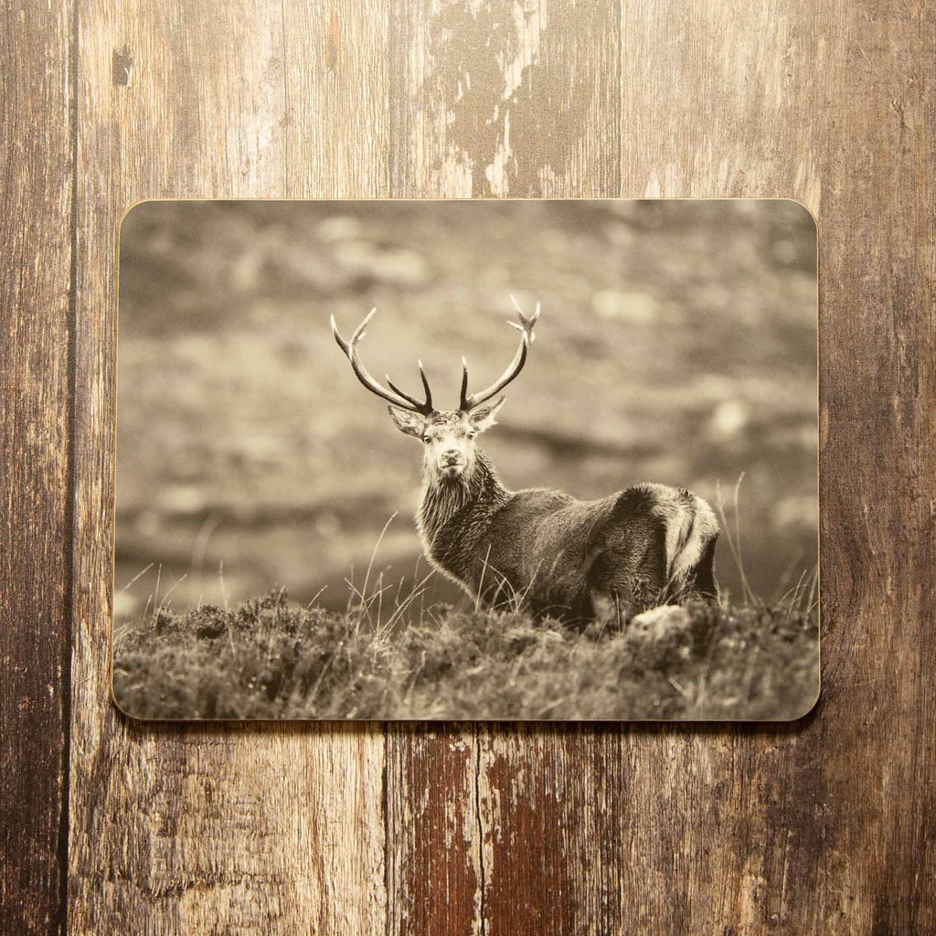 Highland Stag in Heather Placemat