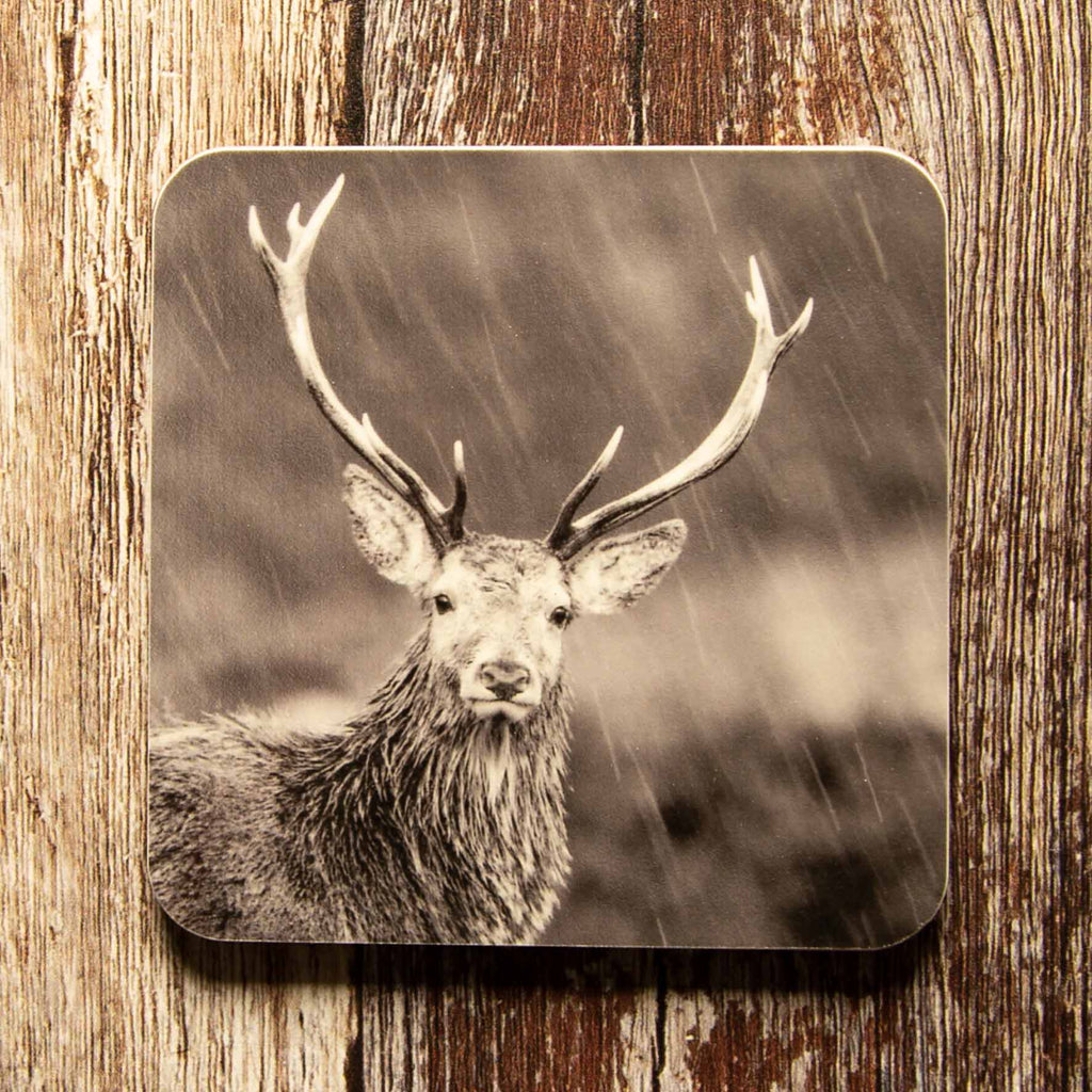 Highland Stag in Rain Coaster - Black and White