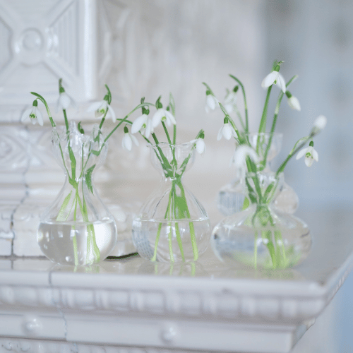 Iris Glass Bud Vases