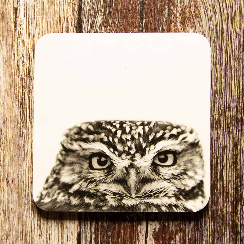 Little Owl Peeking Coaster - White