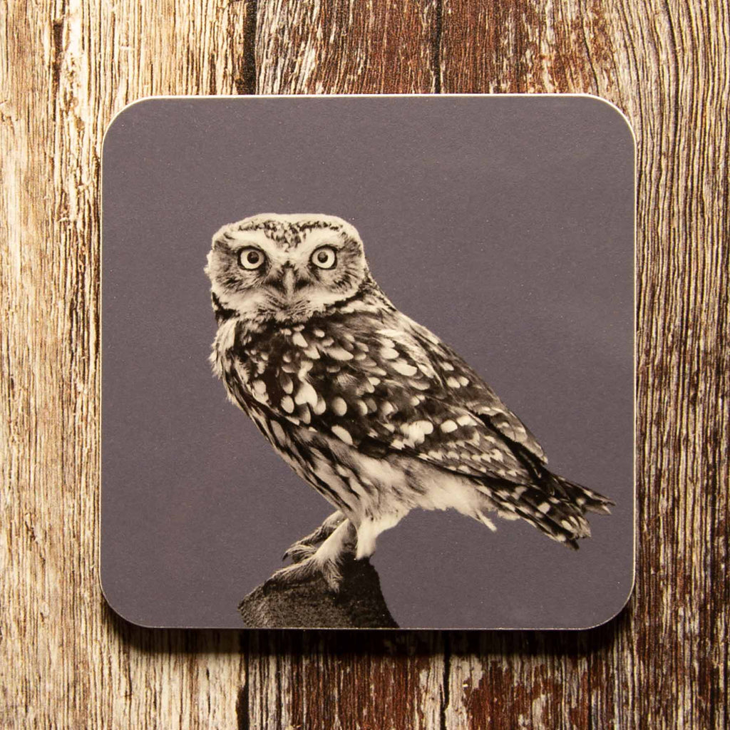 Little Owl Standing Coaster - Charcoal