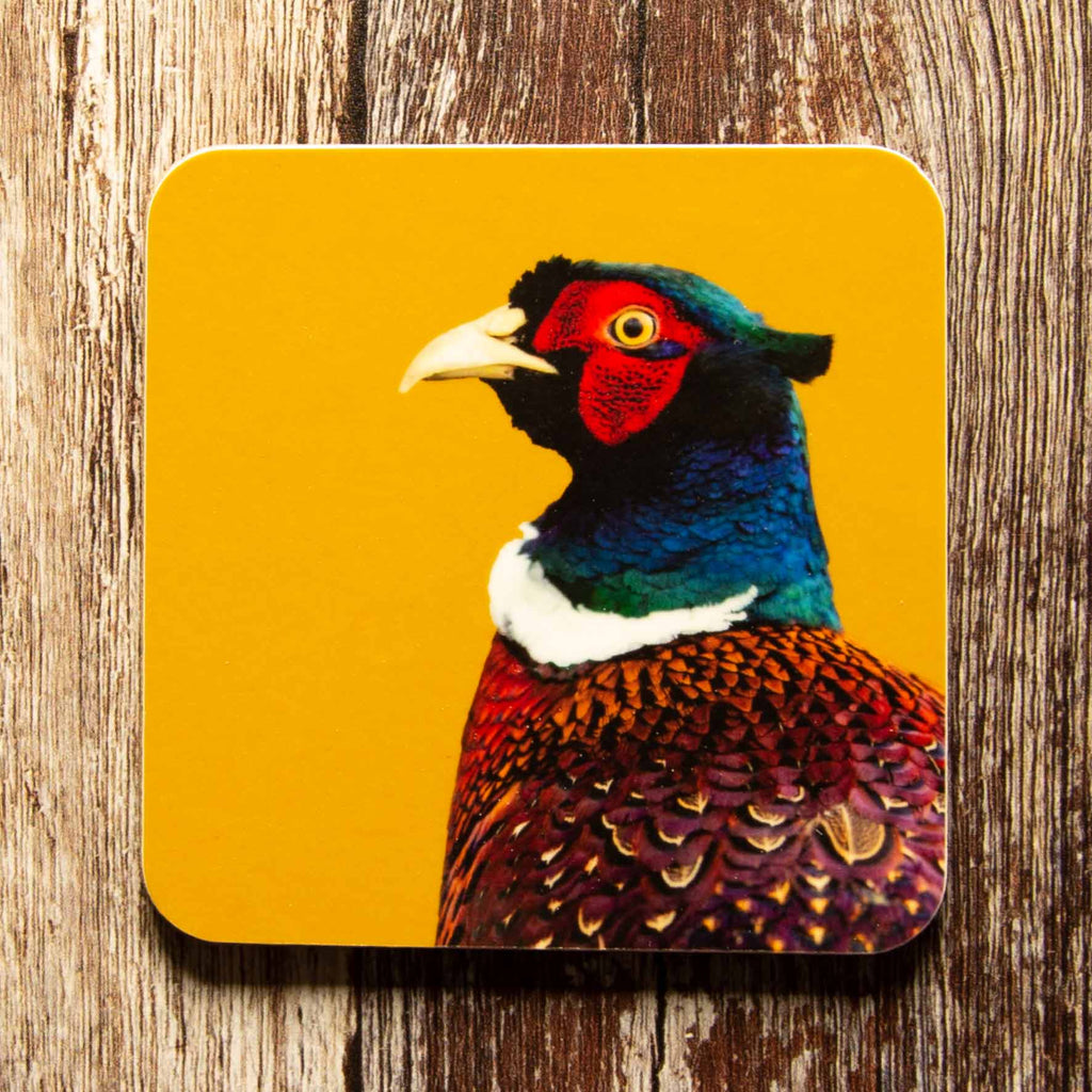 Pheasant Colour Coaster - Mustard