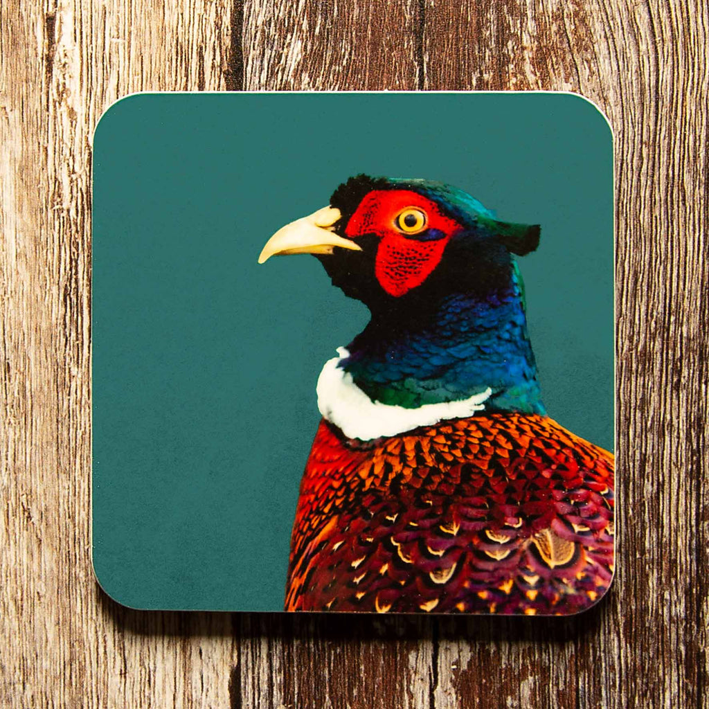 Pheasant Colour Coaster - Teal