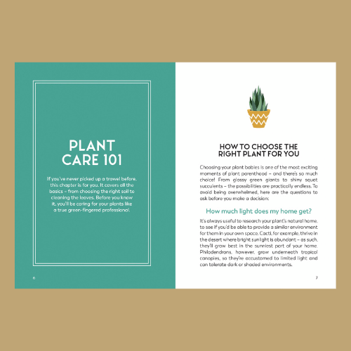 Plant Care 101