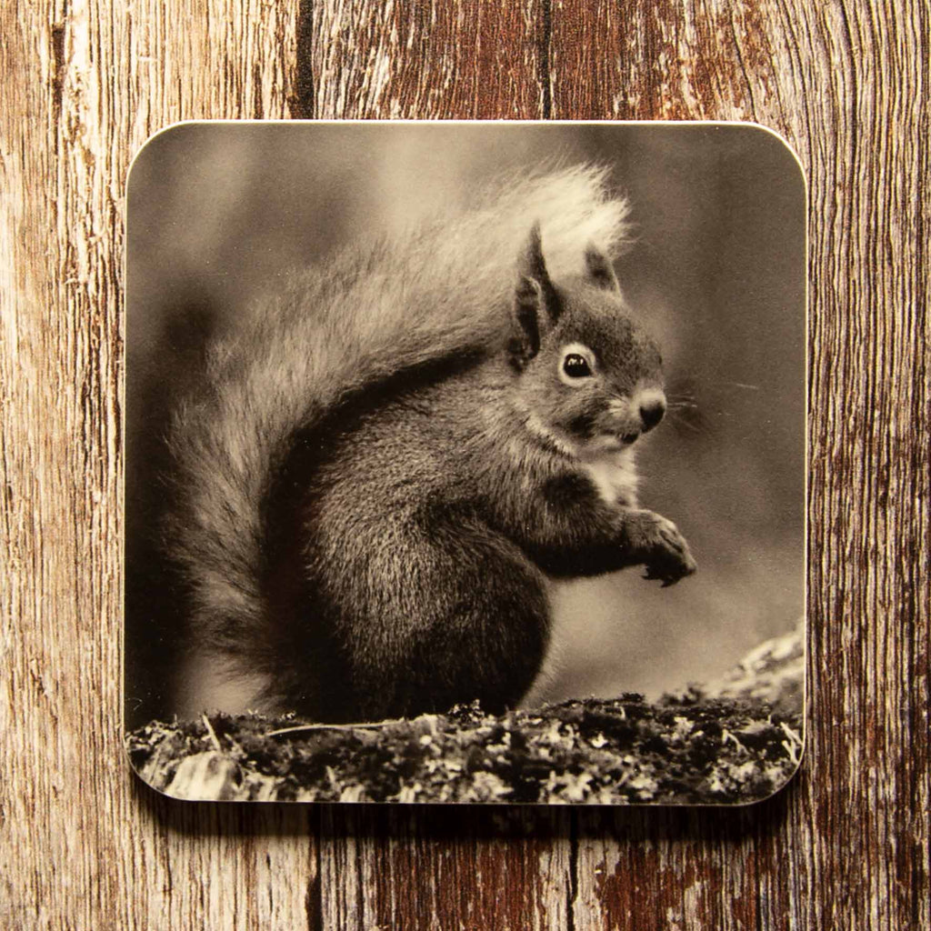 Red Squirrel Coaster - Black and White