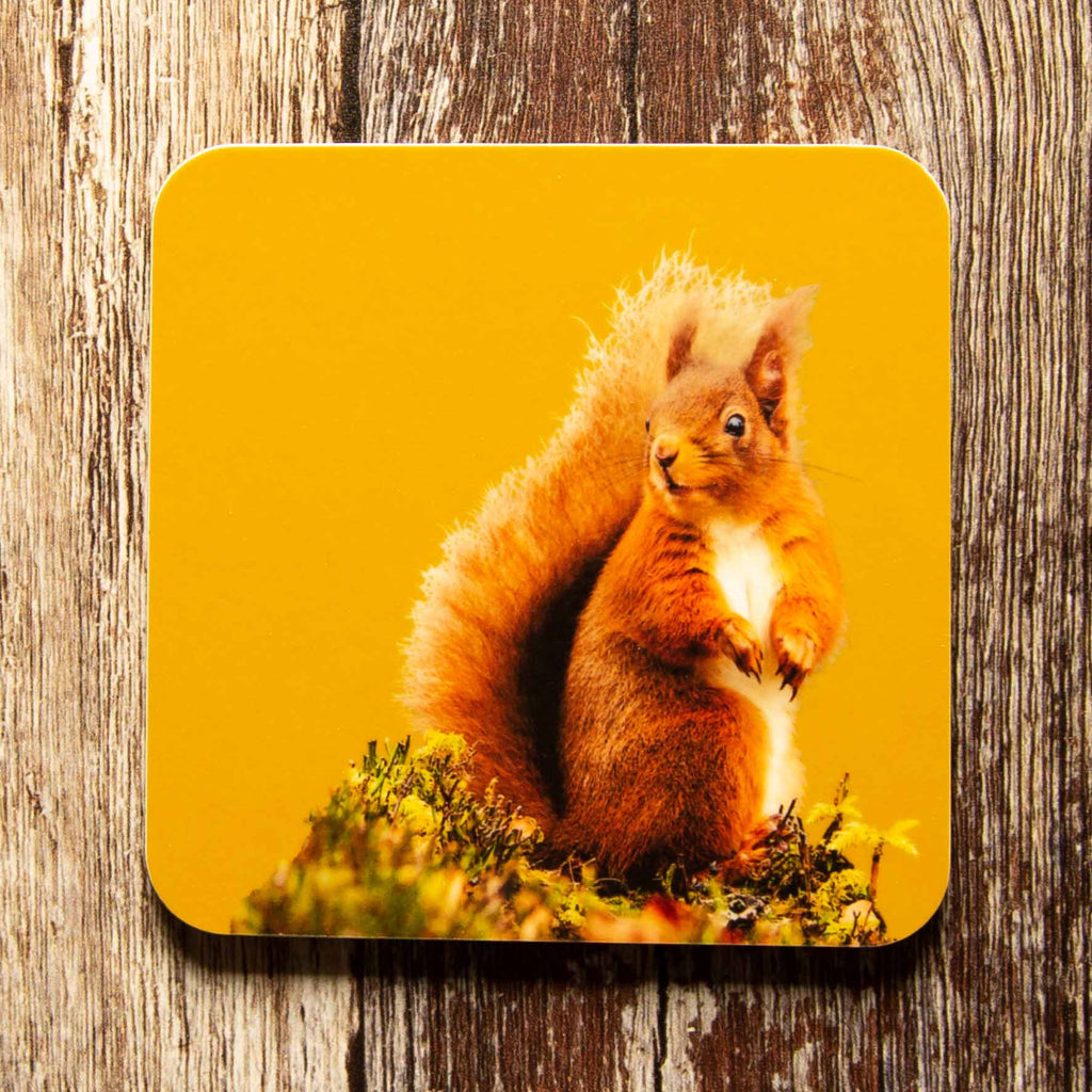 Red Squirrel Coaster - Mustard