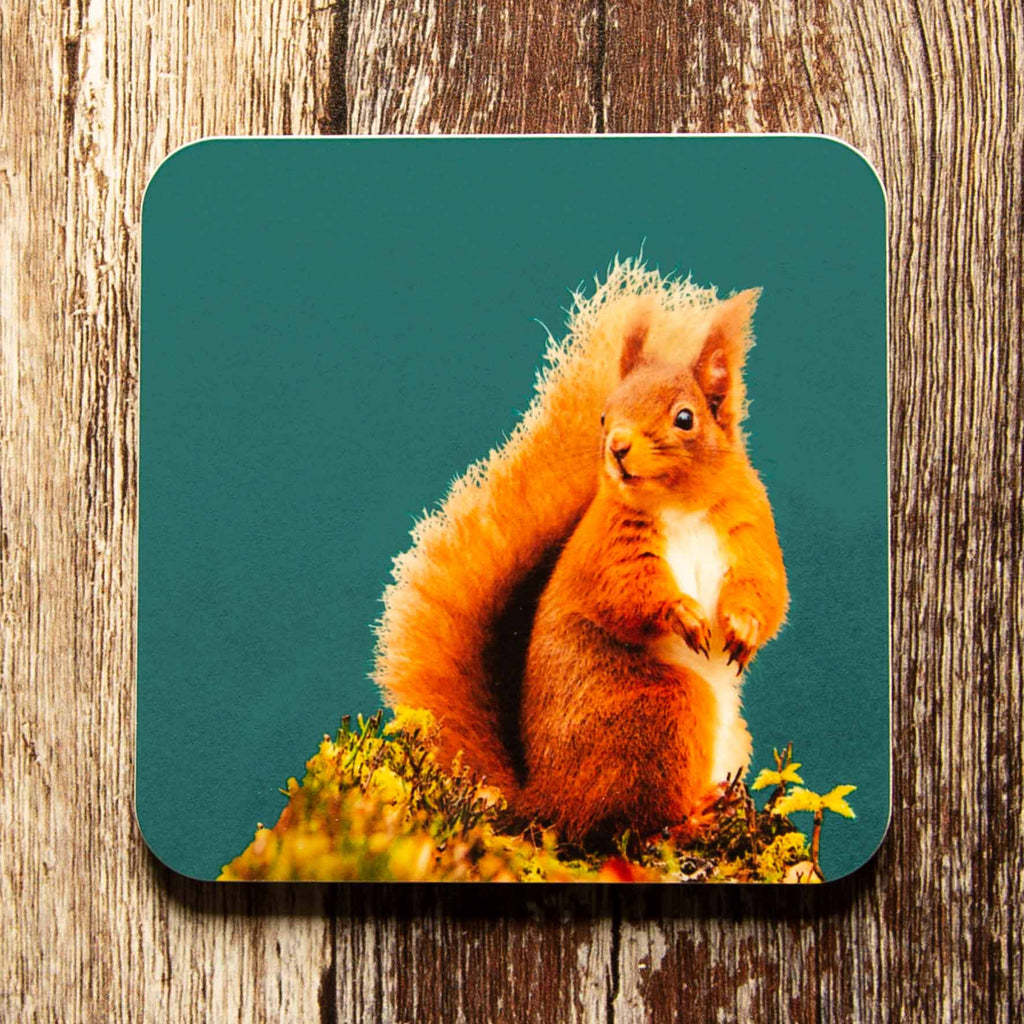 Red Squirrel Coaster - Teal