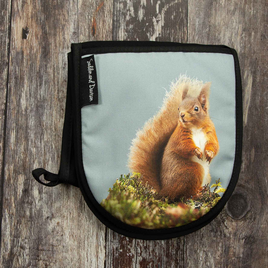 Red Squirrel Oven Gloves - Pale Grey