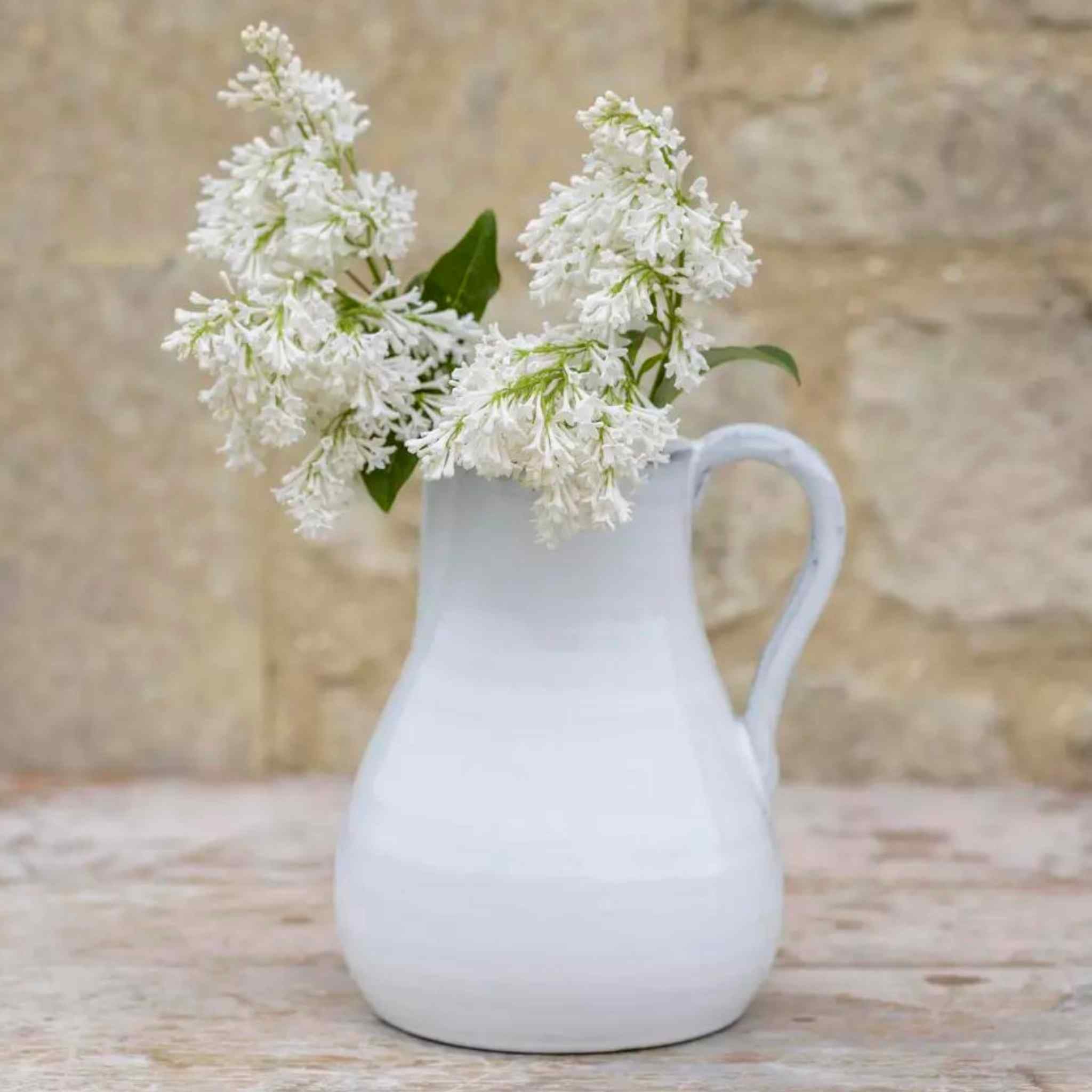 Rosa Glazed Jug in White