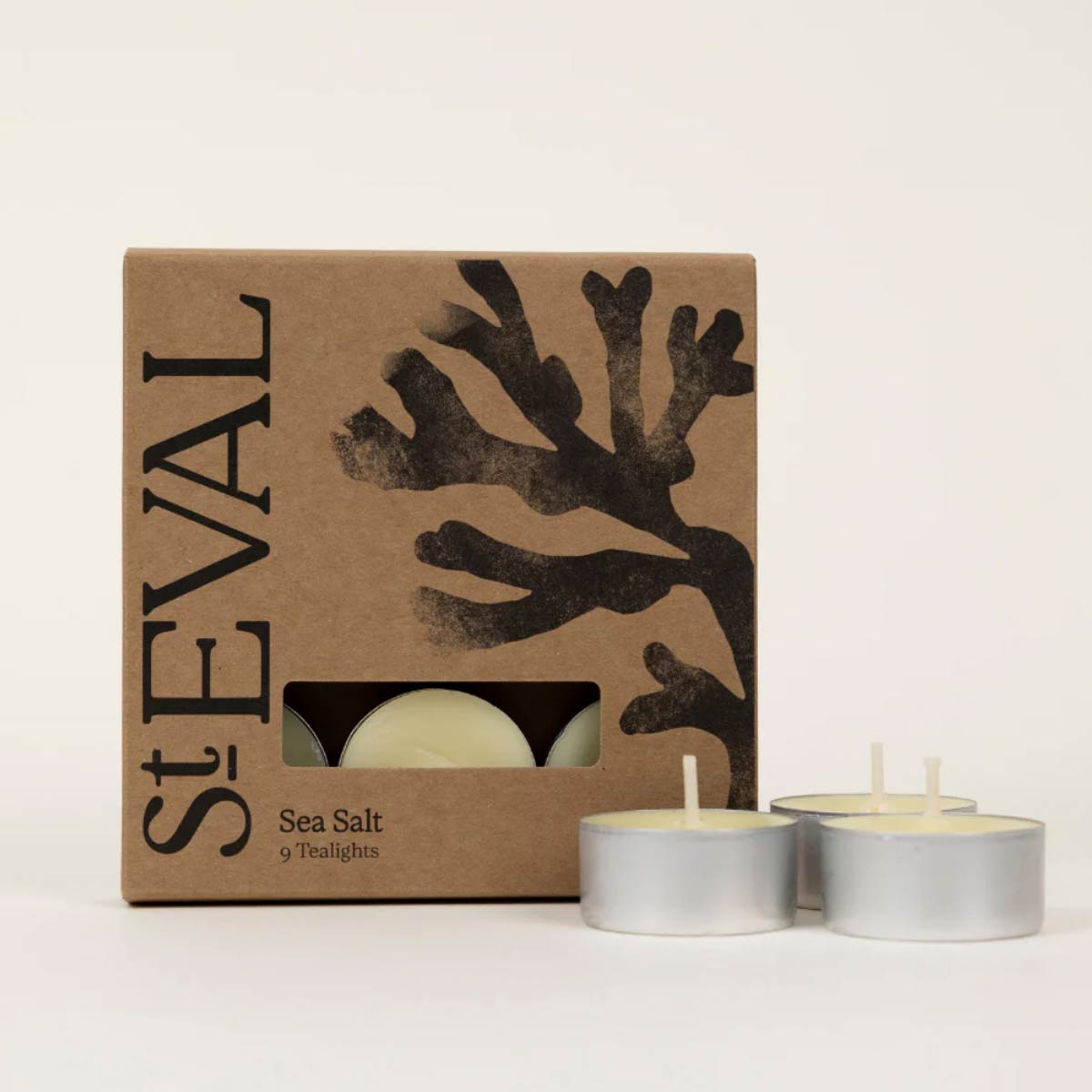 St. Eval Scented Tealights - Sea Salt