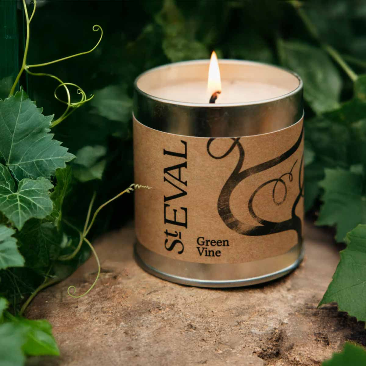 St Eval Scented Tin Candle - Green Vine