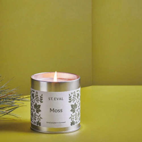 St Eval Scented Tin Candle Moss