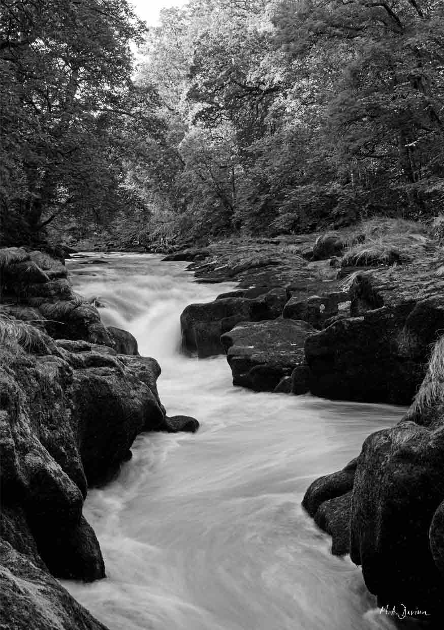 The Strid, Bolton Abbey, Yorkshire Dales - Landscape Print