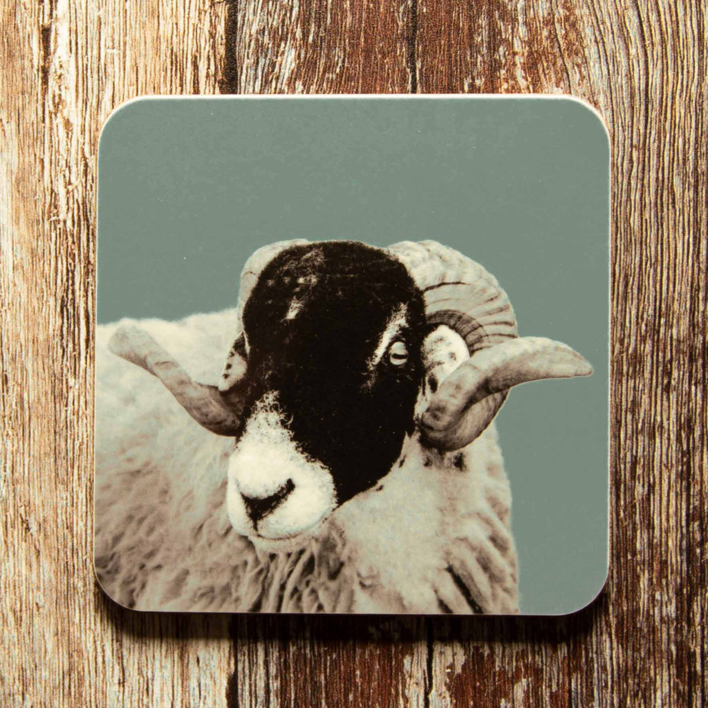 Swaledale Sheep Coaster - Blue Grey