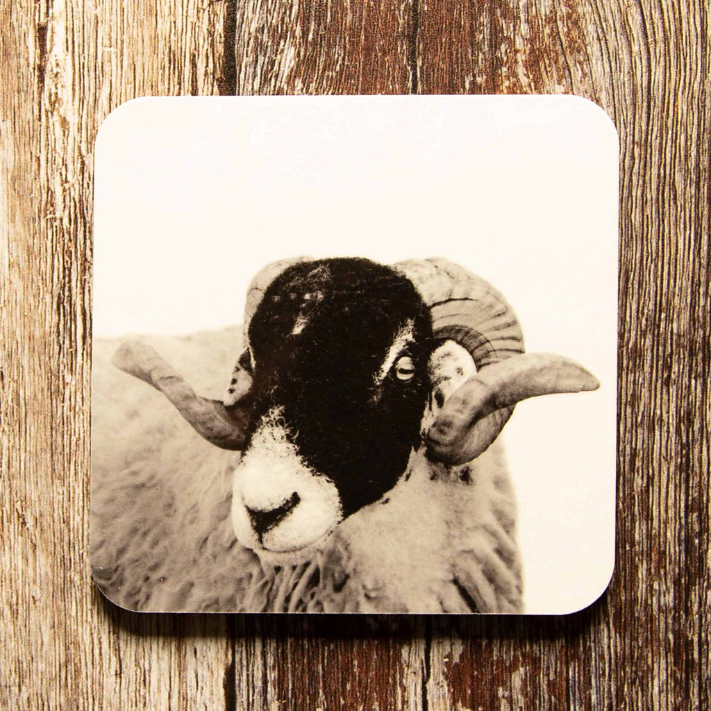 Swaledale Sheep Coaster - White