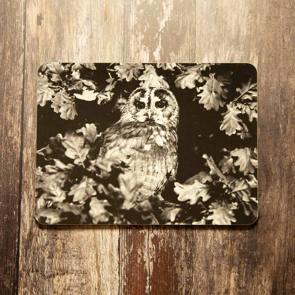 Tawny Owl Placemat - Black and White