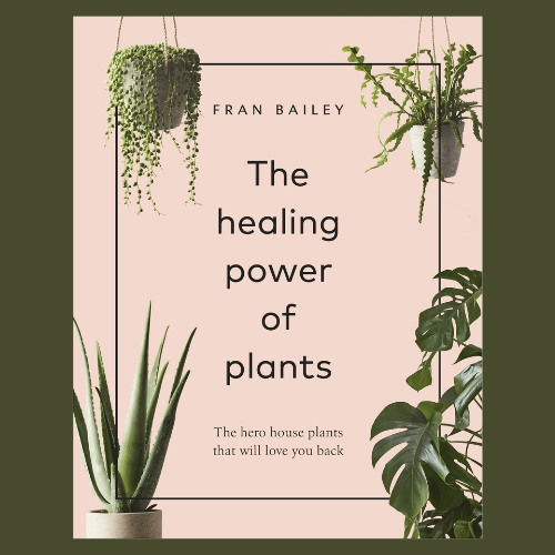 The Healing Power of Plants