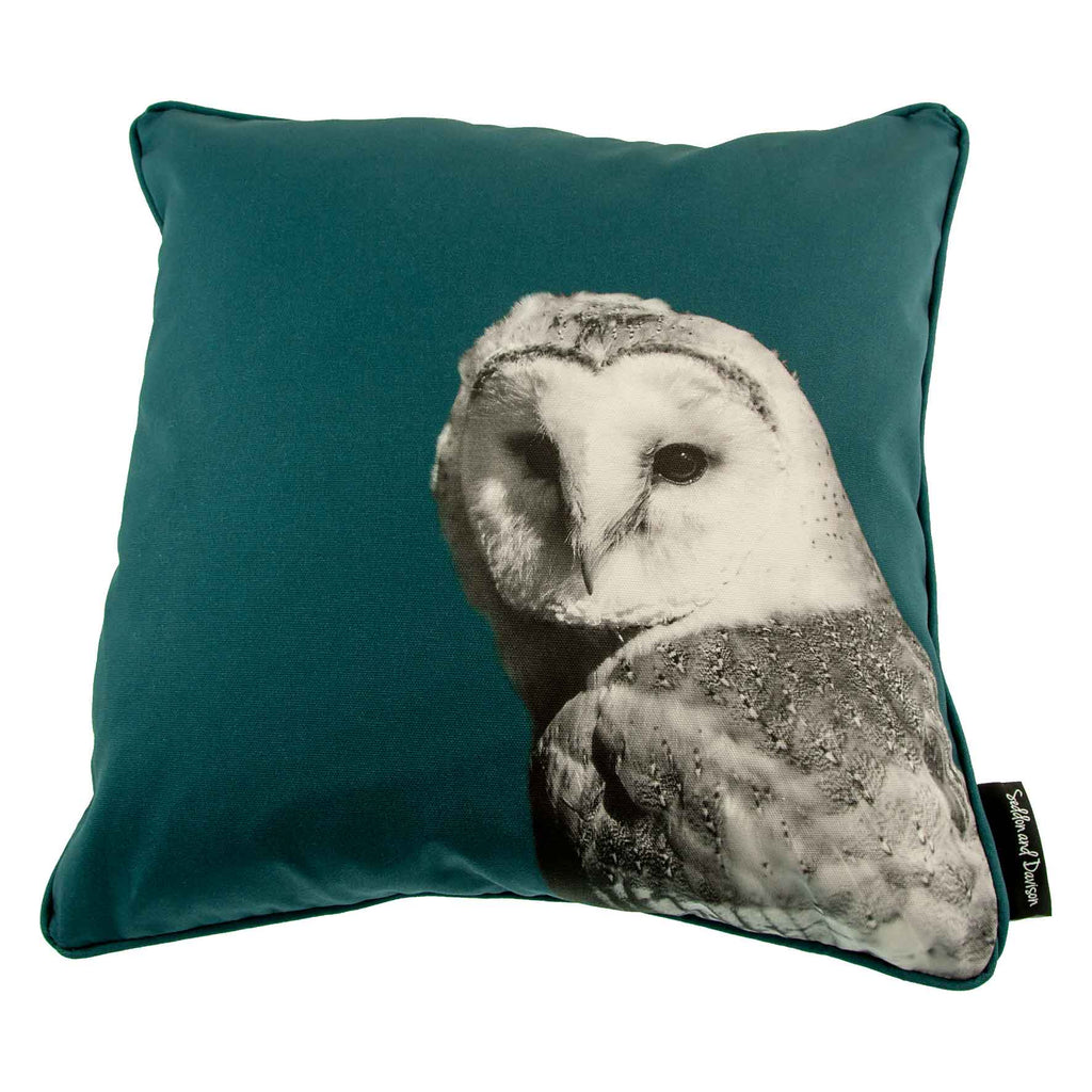 Barn Owl Cushion - Teal Green