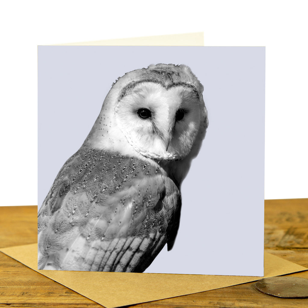 Barn Owl Greeting Card - Pale Lavender