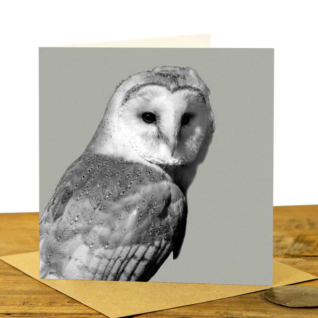 Barn Owl Greeting Card - Sage Grey