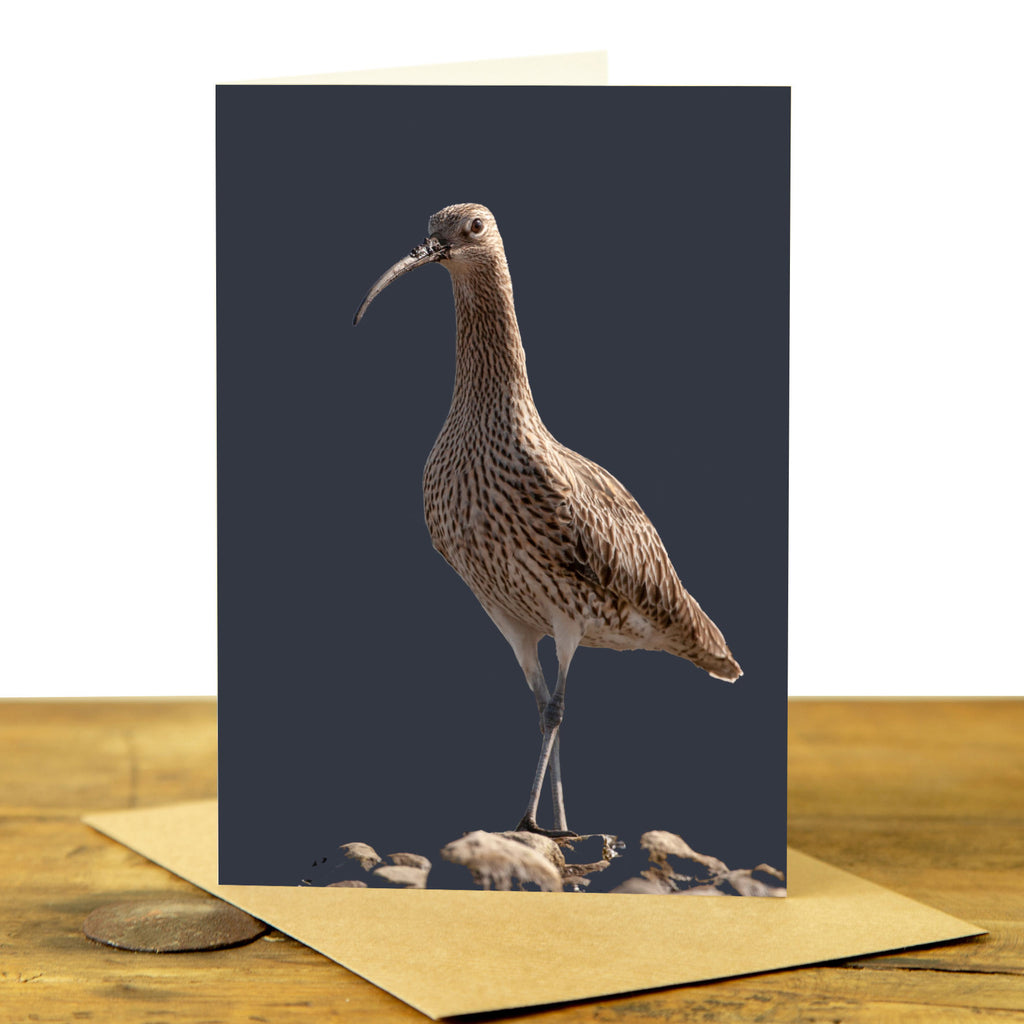 Curlew Greeting Card - Charcoal