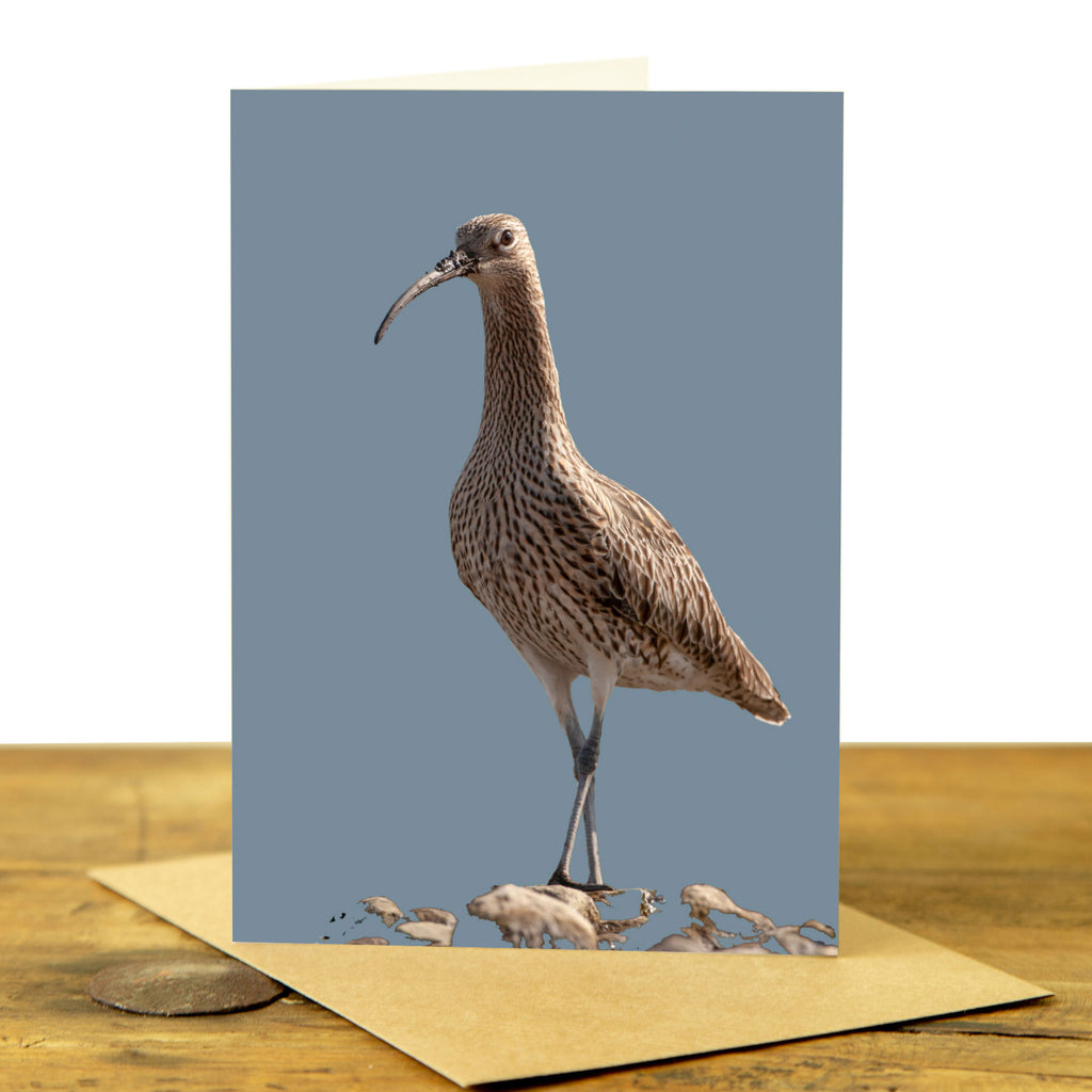 Curlew Greeting Card - Pale Blue