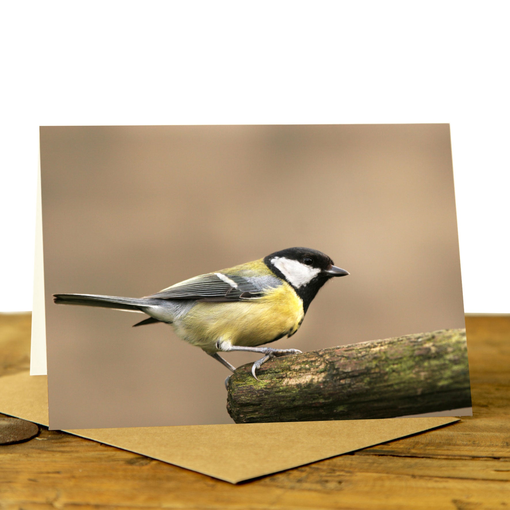 Great Tit Greeting Card