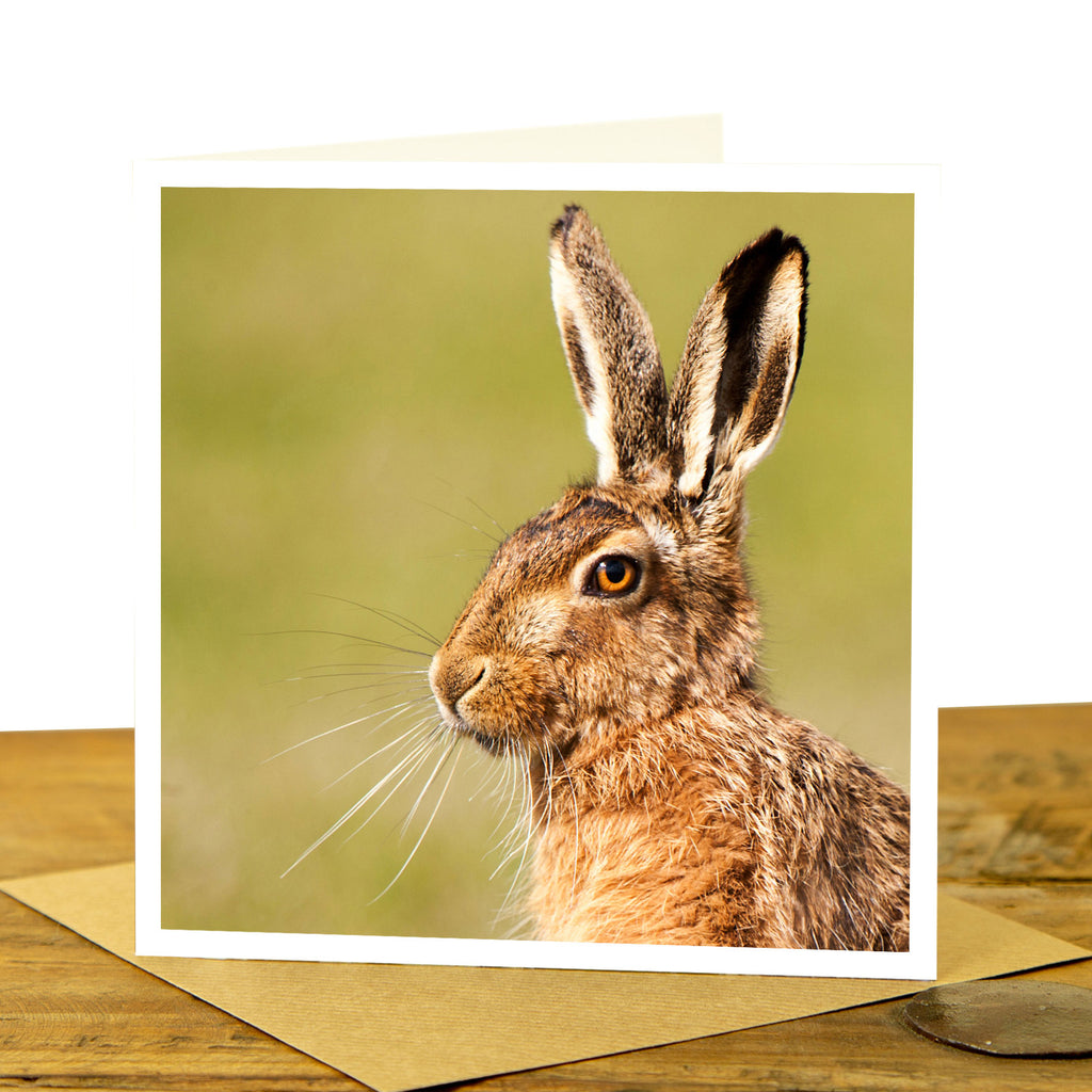 HARE GREETING CARD- BROWN HARE