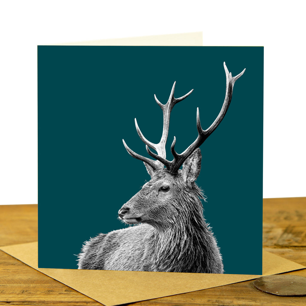 Highland Stag Greeting Card - Teal