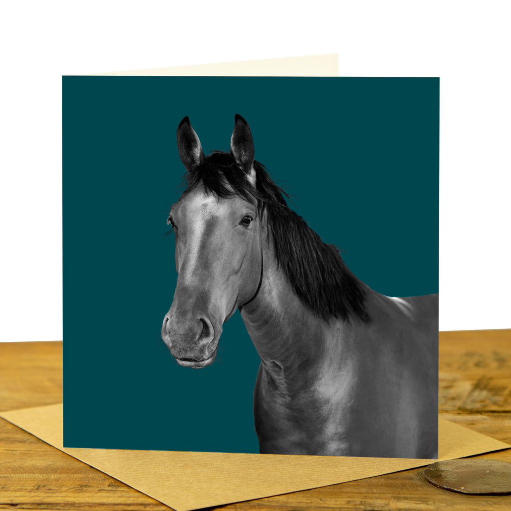 Horse Greeting Card - Teal