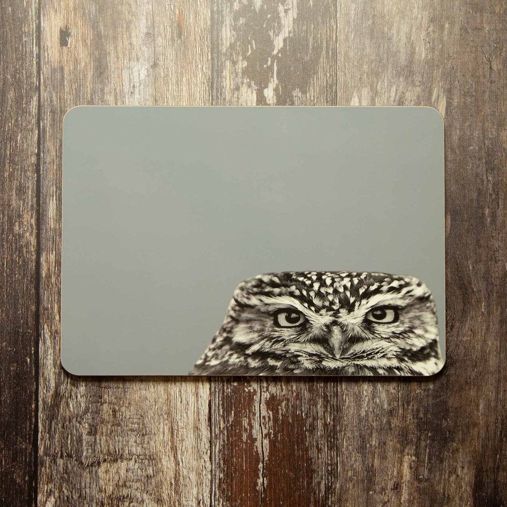 Little Owl Peeking Placemat - Blue Grey