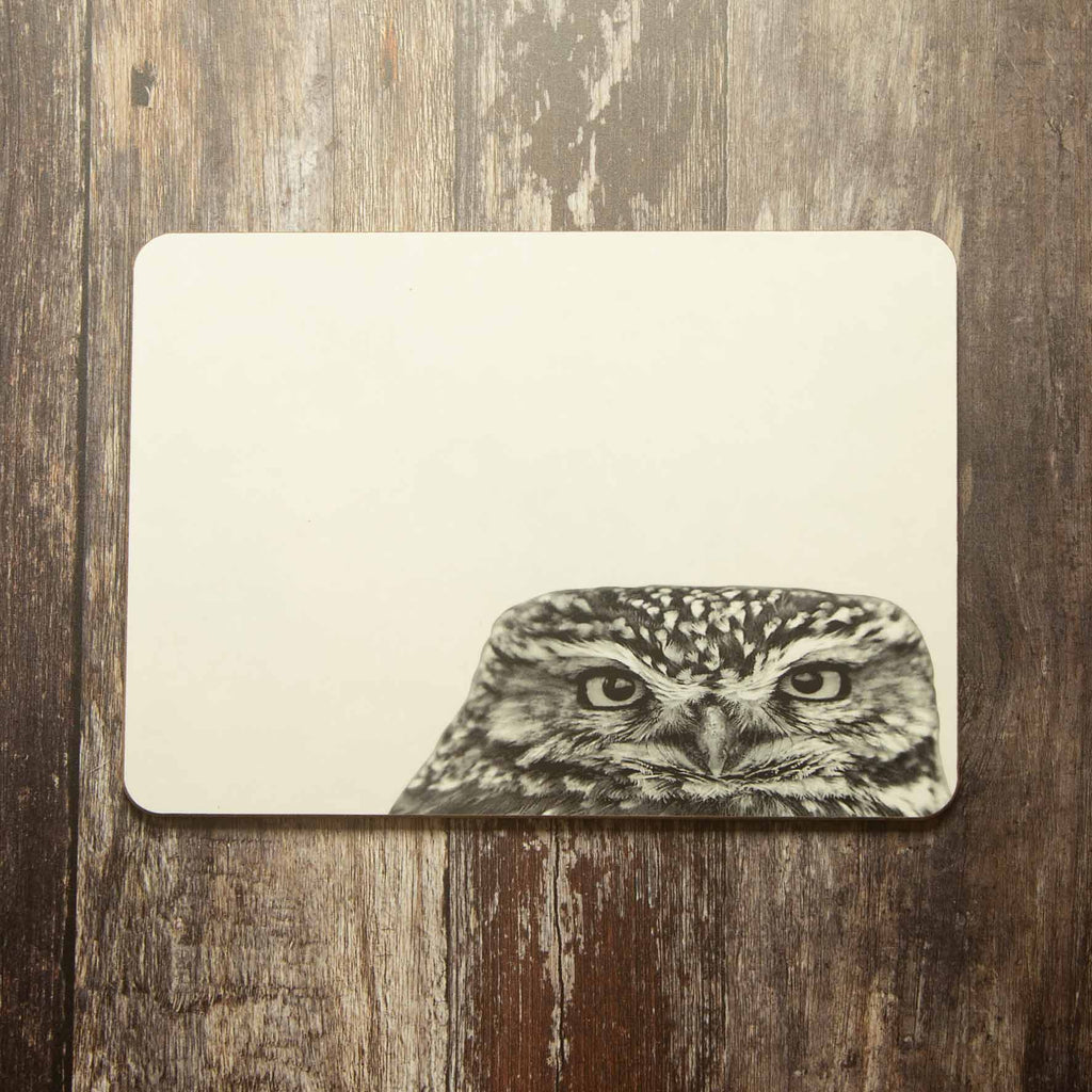 Little Owl Peeking Placemat - White