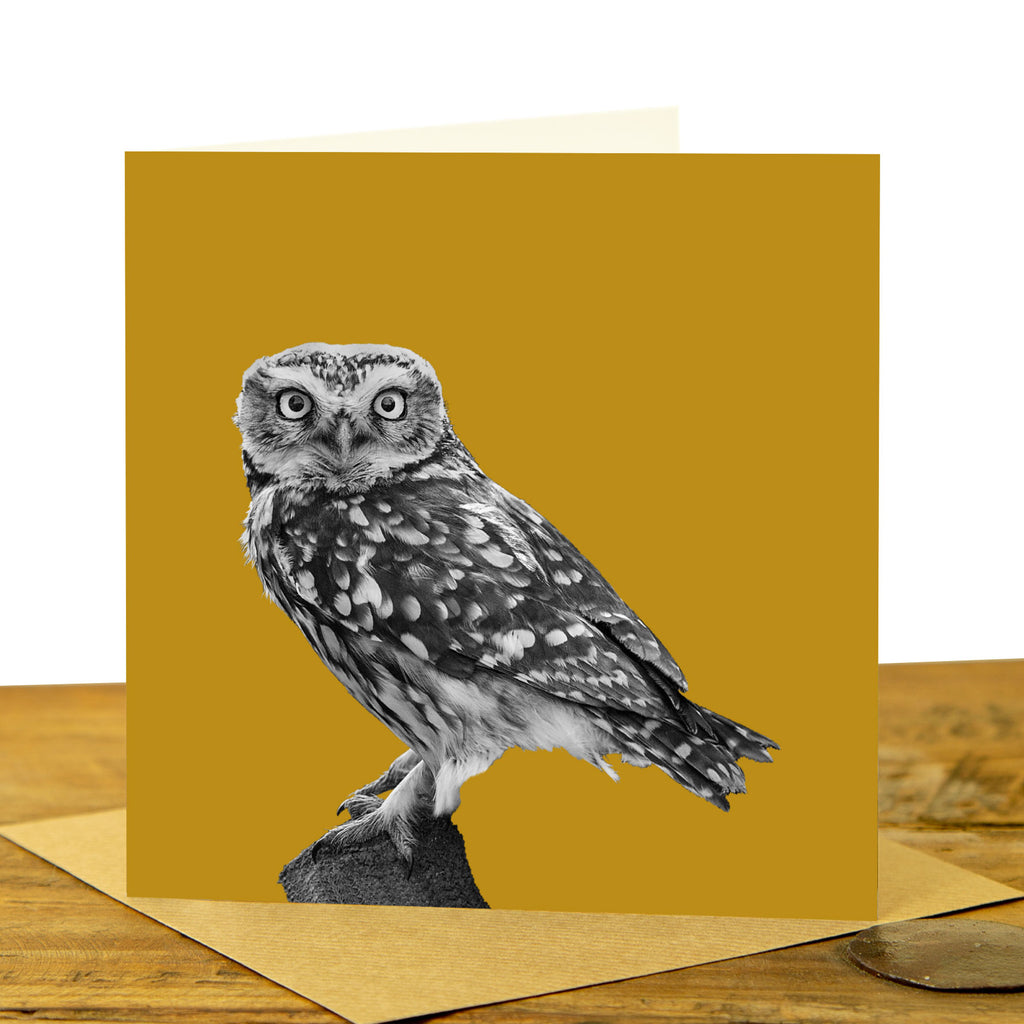 Little Owl Card - Little Owl Standing - Mustard