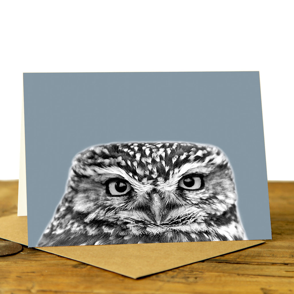 Little Owl Greeting Card - Little Owl Peeking - Pale Blue